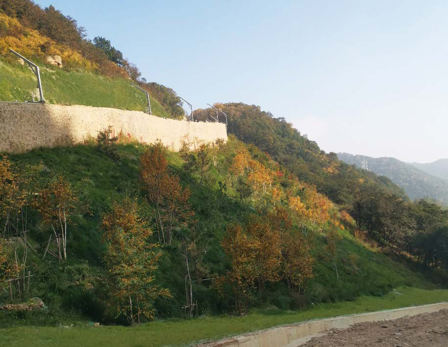 北京2022年冬奧會(huì)國(guó)家高山滑雪中心山體生態(tài)修復(fù)